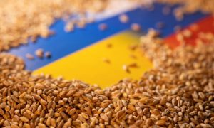 grain ukraine 1 1 1024x683 1
